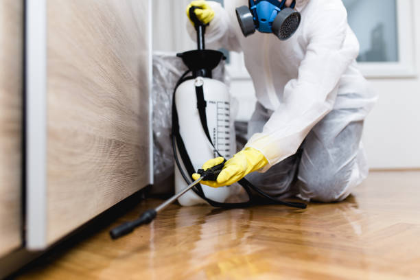 Professional Pest Control in Five Points, FL