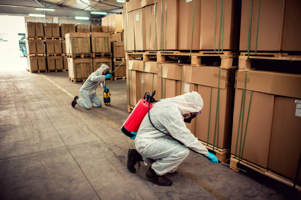 Best Residential Pest Control  in Five Points, FL