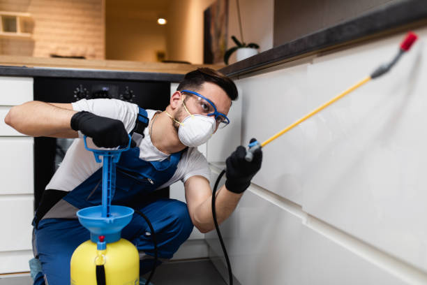 Best Pest Prevention Services  in Five Points, FL